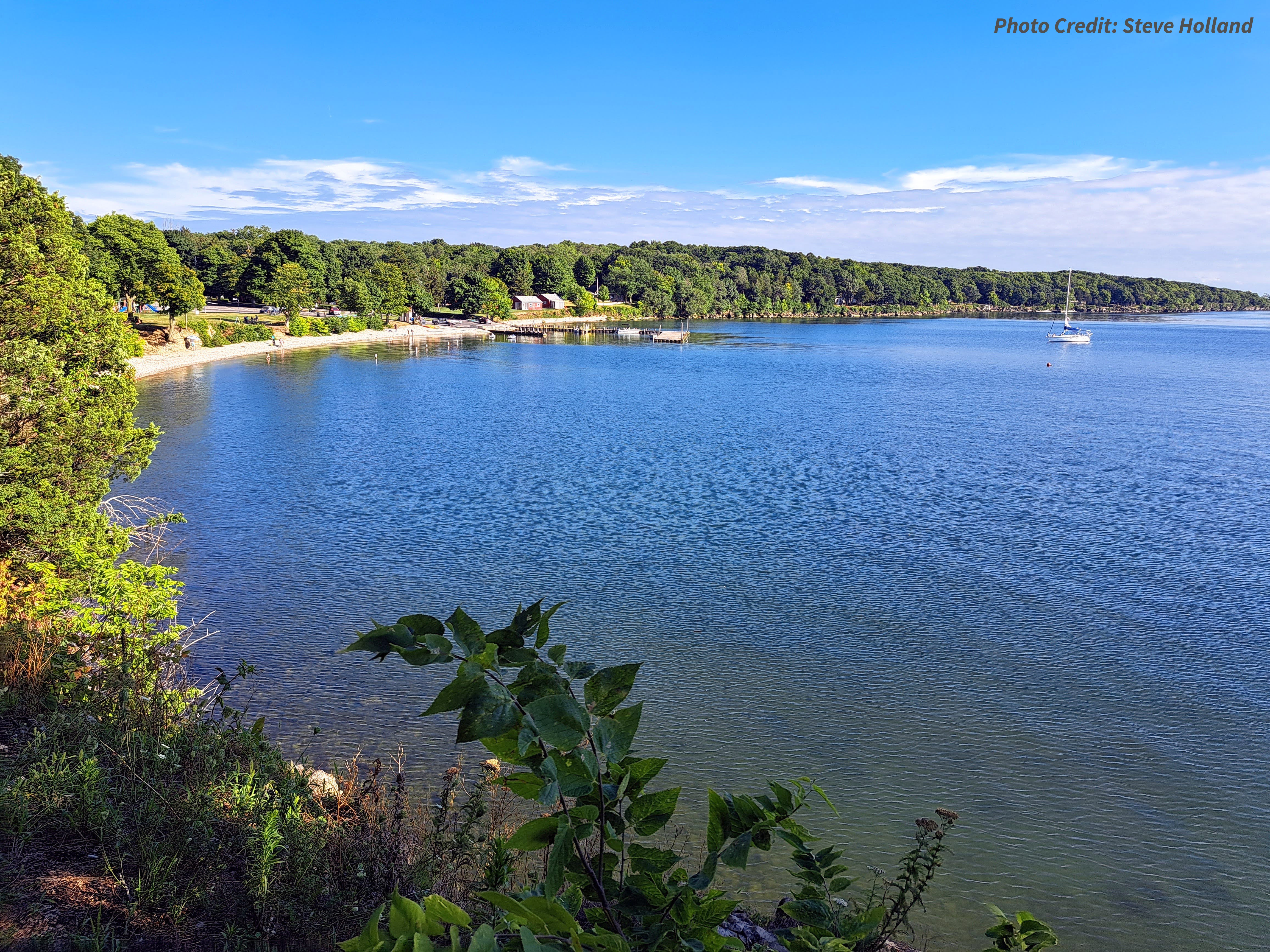 A view of Lake Erie, framed with trees and plants.