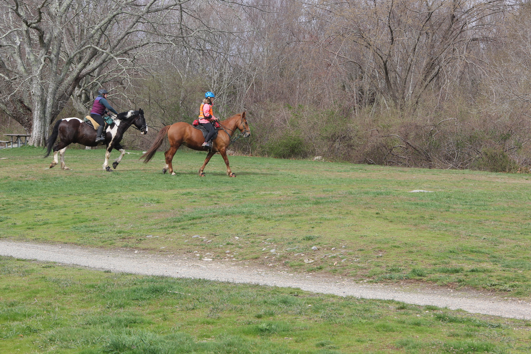 Two people on horseback ride along a grassy area.