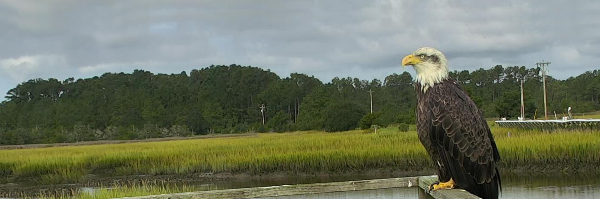 North Inlet-Winyah Bay National Estuarine Research Reserve